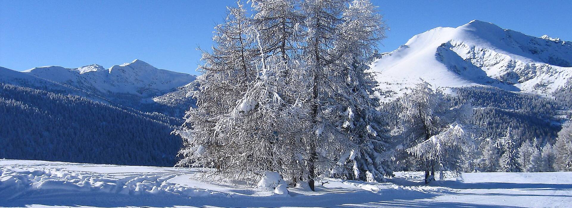 Mittelkärnten Wintergenuss