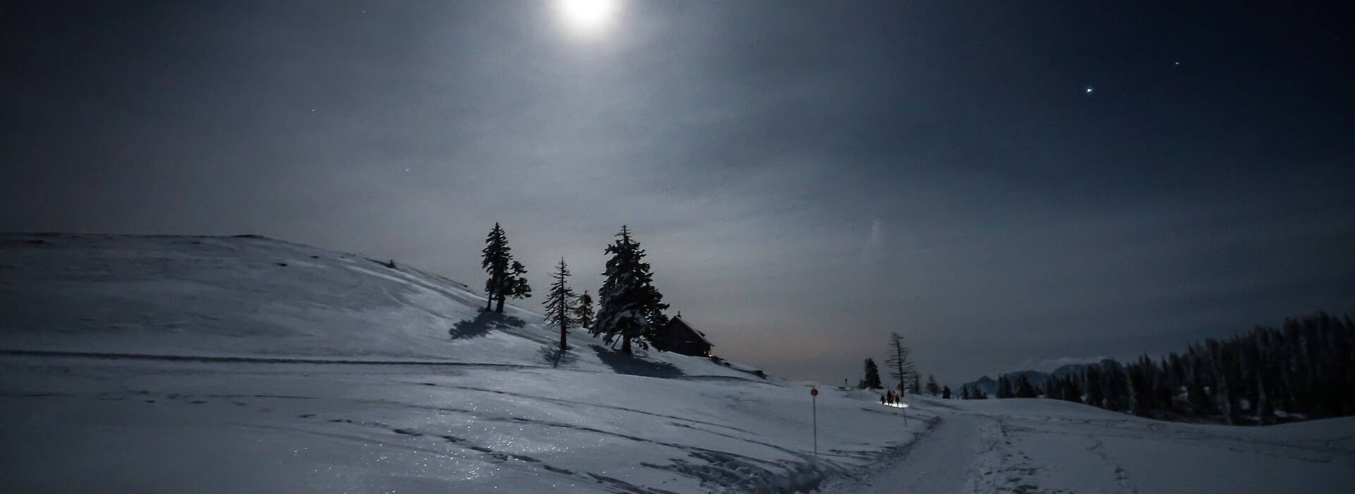 Geführte Vollmond-Schneeschuhwanderung in Kärnten - im Naturpark Dobratsch.