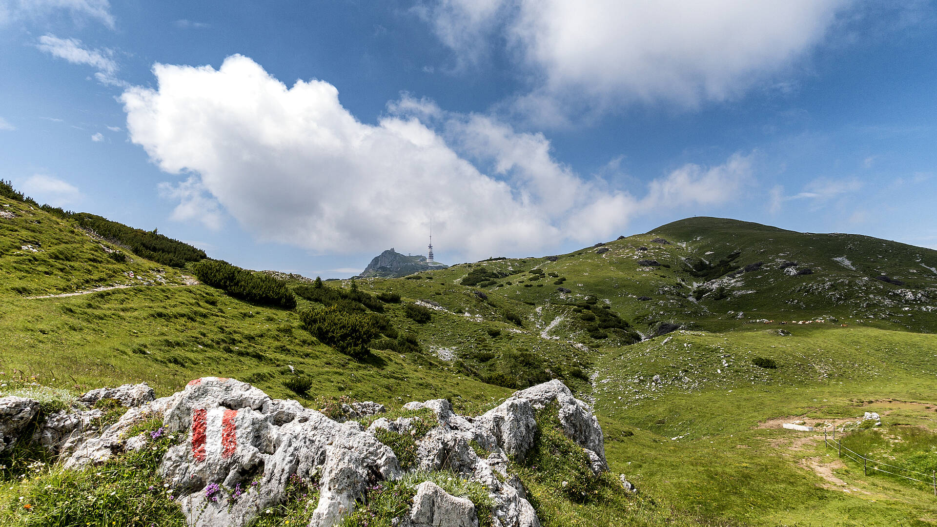 Naturpark Dobratsch mit Blick zum Sender